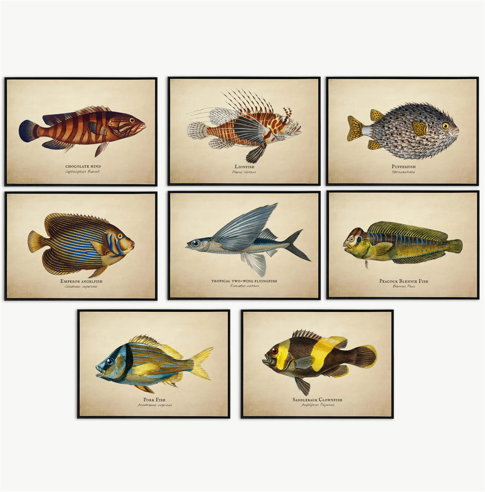 Fish In Aquarium Picture - ภาพวินเทจ ปลาเขตร้อน แมงกะพรุน เปลือกหอย ชีวิตใต้ทะเล ศิลปะนามธรรม