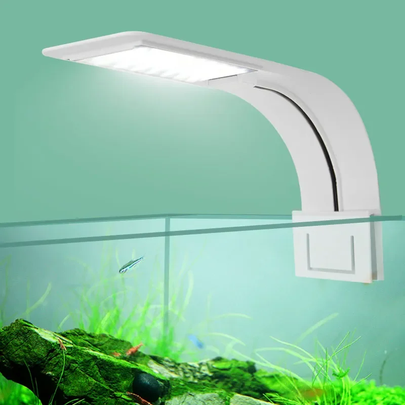 Fish In Aquarium Picture - Super Slim LED Aquarium Light แสงพืช