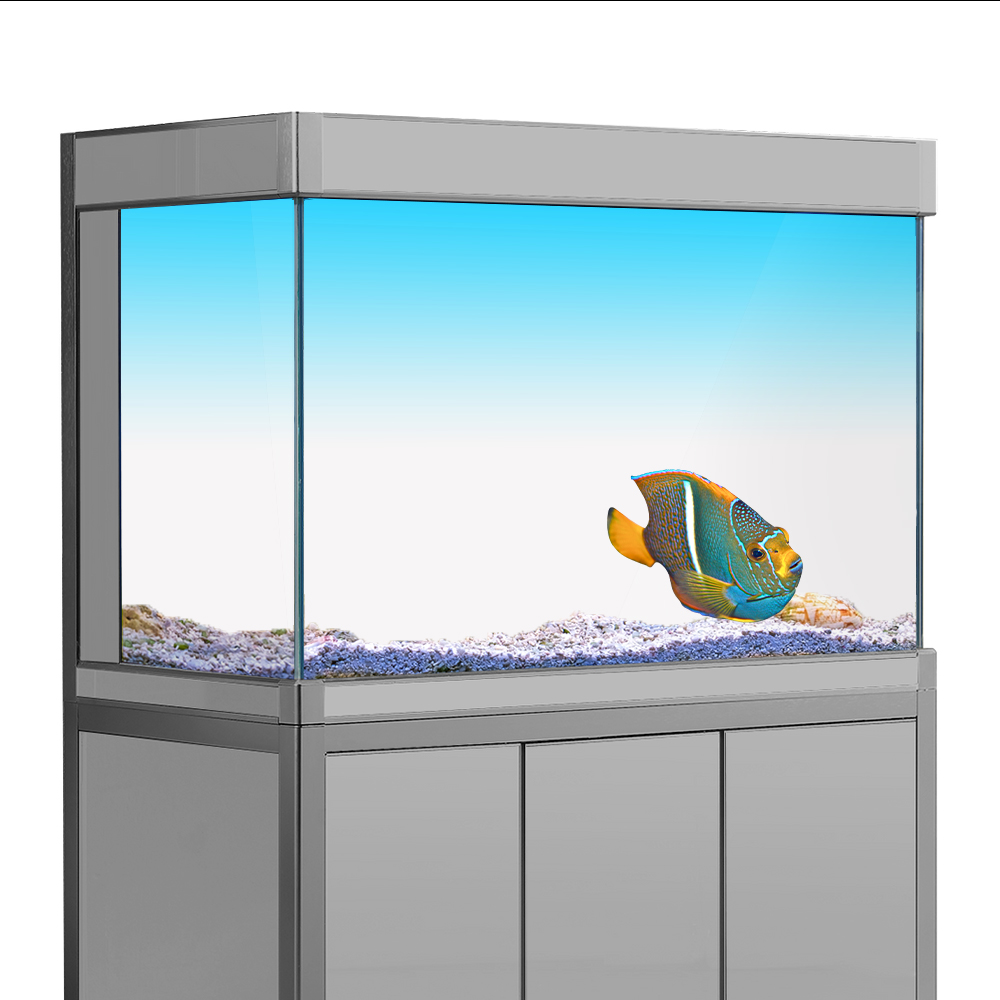 Aquarium Fish Wallpaper - ตู้ปลาพื้นหลังสติกเกอร์สีขาวสีเหลืองสีเขียวสีฟ้าGradient Simpleการพิมพ์วอลล์เปเปอร์Aquariumฉากหลังตกแต่งPVC