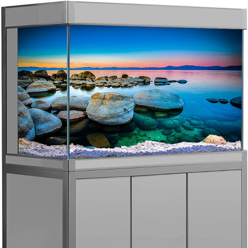 Aquarium Fish Wallpaper - สติ๊กเกอร์ติดฉากหลังตู้ปลา ลายหิน วิวทะเล โปสเตอร์ตกแต่งตู้ปลา วอลเปเปอร์ติดผนังแบบลอกติดเอง ฉากหลัง