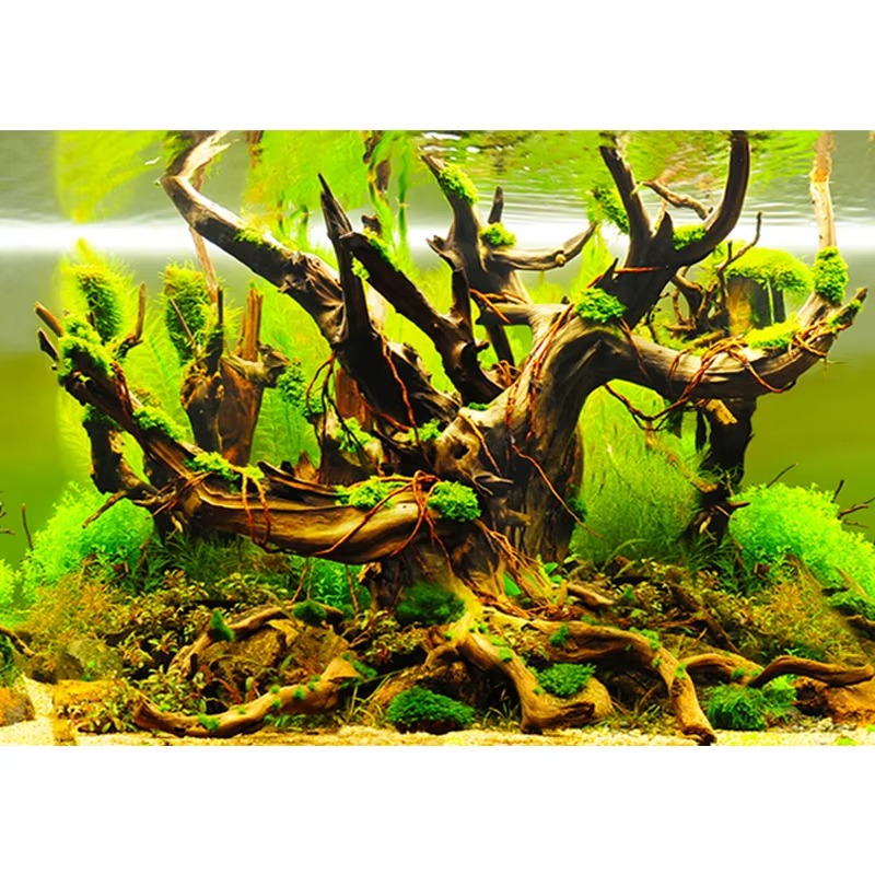 Aquarium Fish Wallpaper - วอลเปเปอร์ติดผนังตู้ปลา ขนาด 50 ซม. กันน้ำ หนาพิเศษ