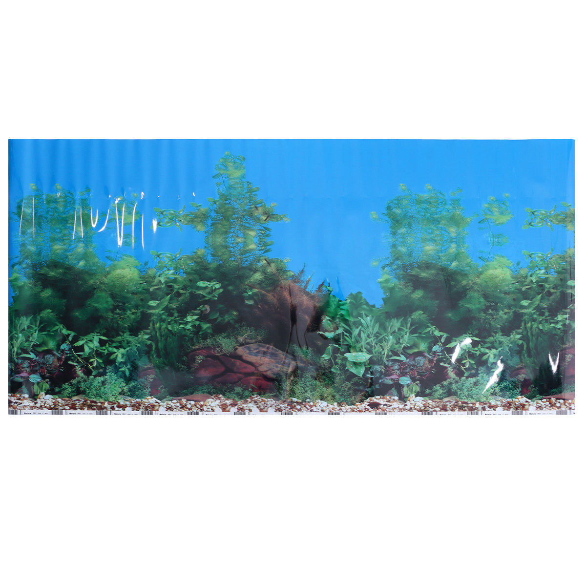 วอลเปเปอร์ 3 มิติ ภาพพื้นหลังต - Fish In Aquarium Picture บทวิจารณ์และราคา