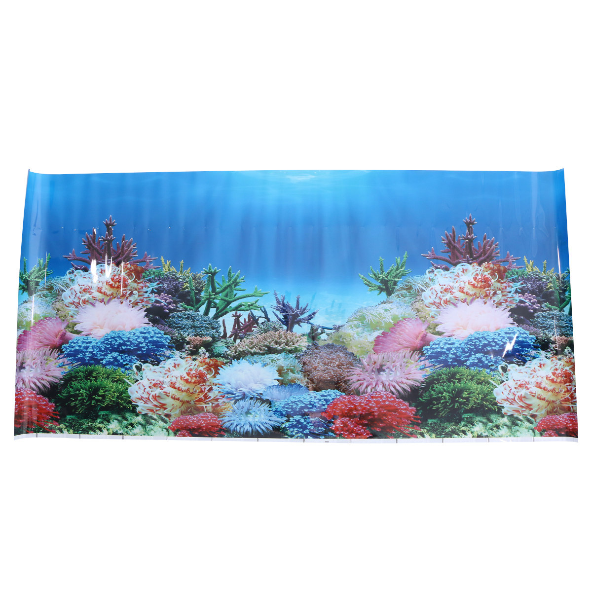 วอลเปเปอร์ 3 มิติ ภาพพื้นหลังต - Fish In Aquarium Picture บทวิจารณ์และราคา