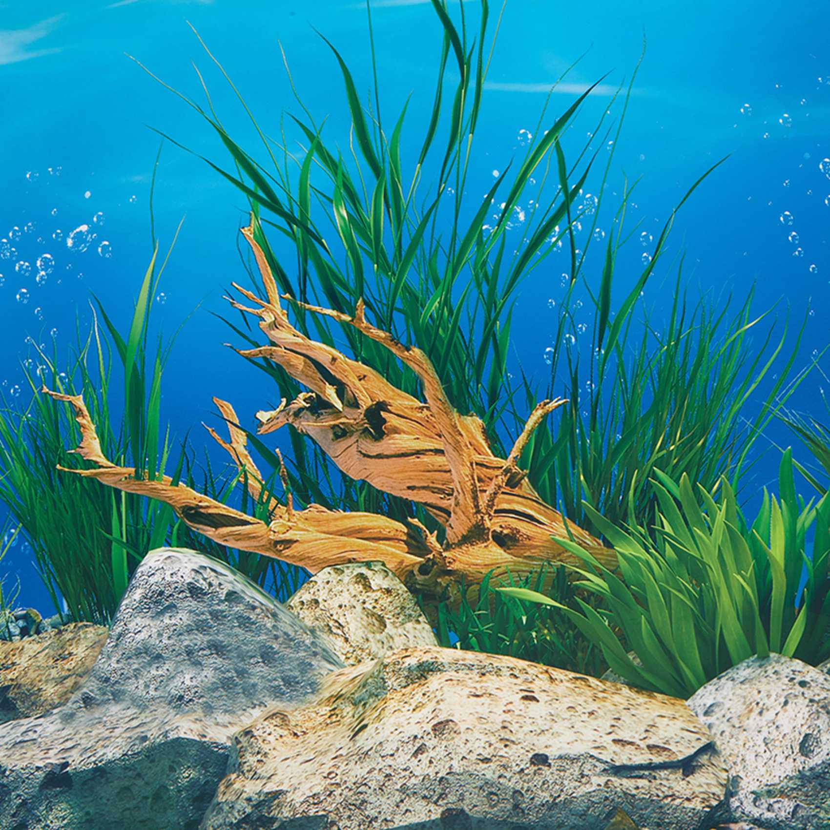 ABWR-กระดาษพื้นหลังตู้ปลา ภาพ  - Fish In Aquarium Picture บทวิจารณ์และราคา