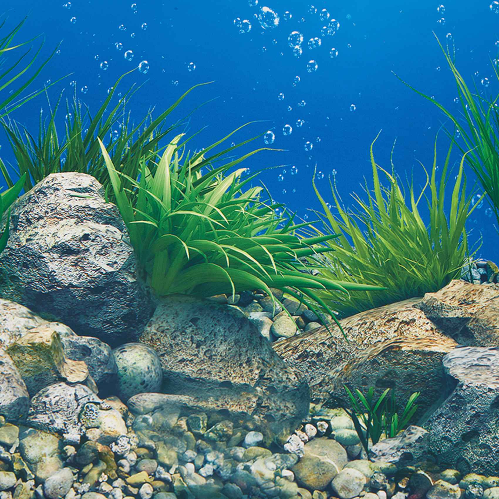 ABWR-กระดาษพื้นหลังตู้ปลา ภาพ  - Fish In Aquarium Picture บทวิจารณ์และราคา
