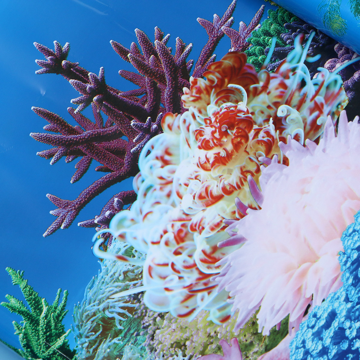 3D วอลล์เปเปอร์พื้นหลังสำหรับต - Fish In Aquarium Picture บทวิจารณ์และราคา