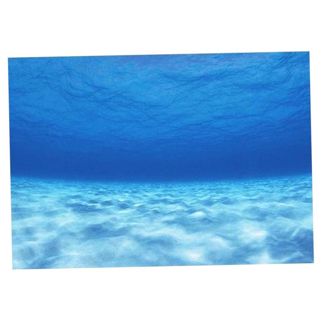 ภาพพื้นหลังตู้ปลารูป PVC ติดด้ - Fish In Aquarium Picture บทวิจารณ์และราคา