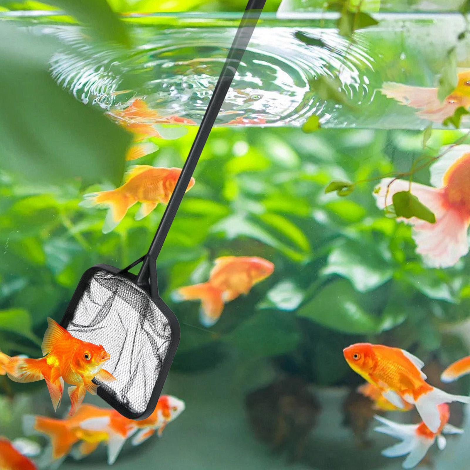 ตาข่ายทำความสะอาดสระว่ายน้ำแบบ - Cleaner Fish Aquarium บทวิจารณ์และราคา
