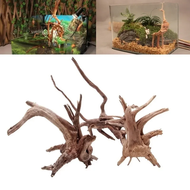 ต้นไม้ธรรมชาติลำต้นไม้ดริฟท์วู - Aquarium Fish For Sale Online บทวิจารณ์และราคา