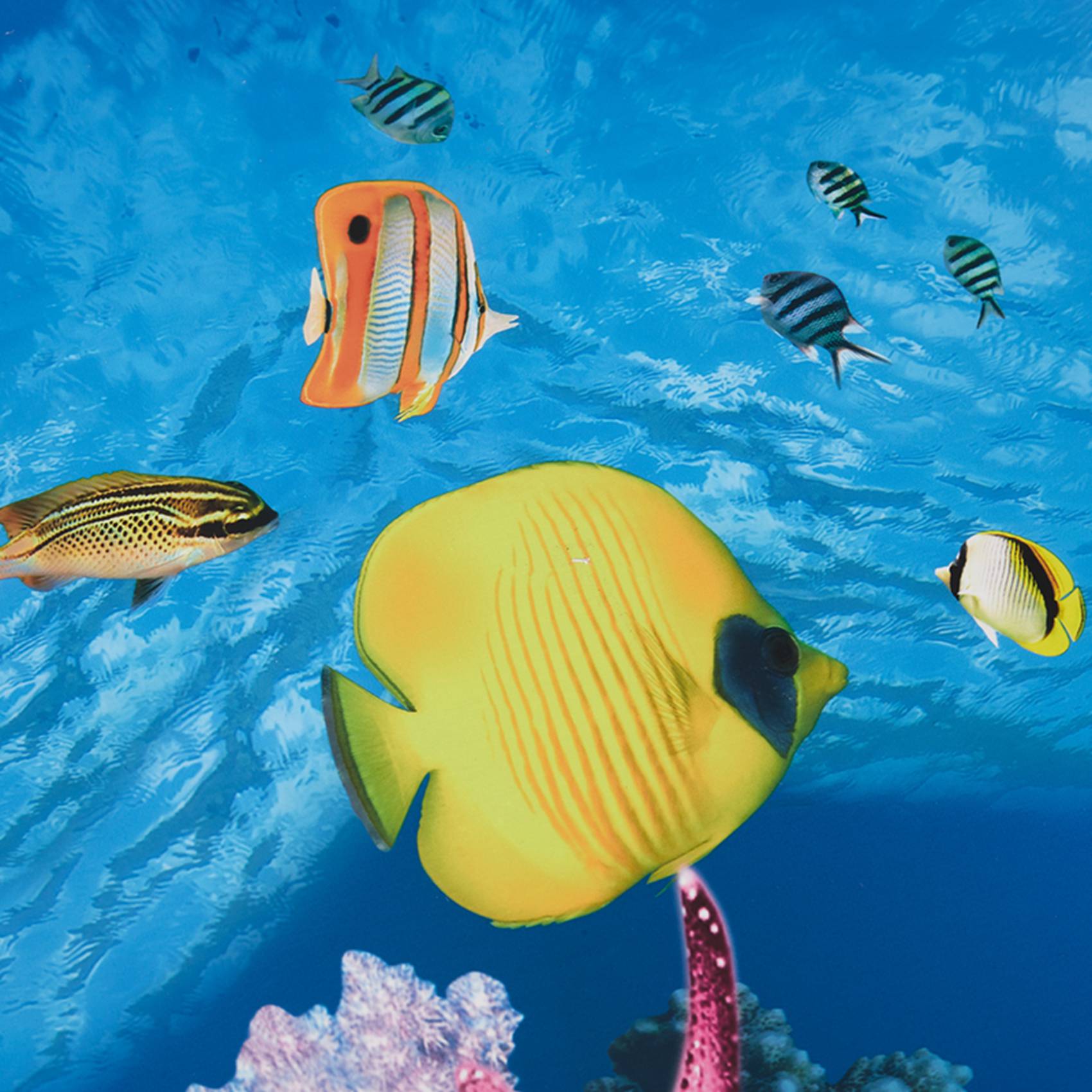 กระดาษตกแต่งตู้ปลา A77I ภาพควา - Fish In Aquarium Picture บทวิจารณ์และราคา