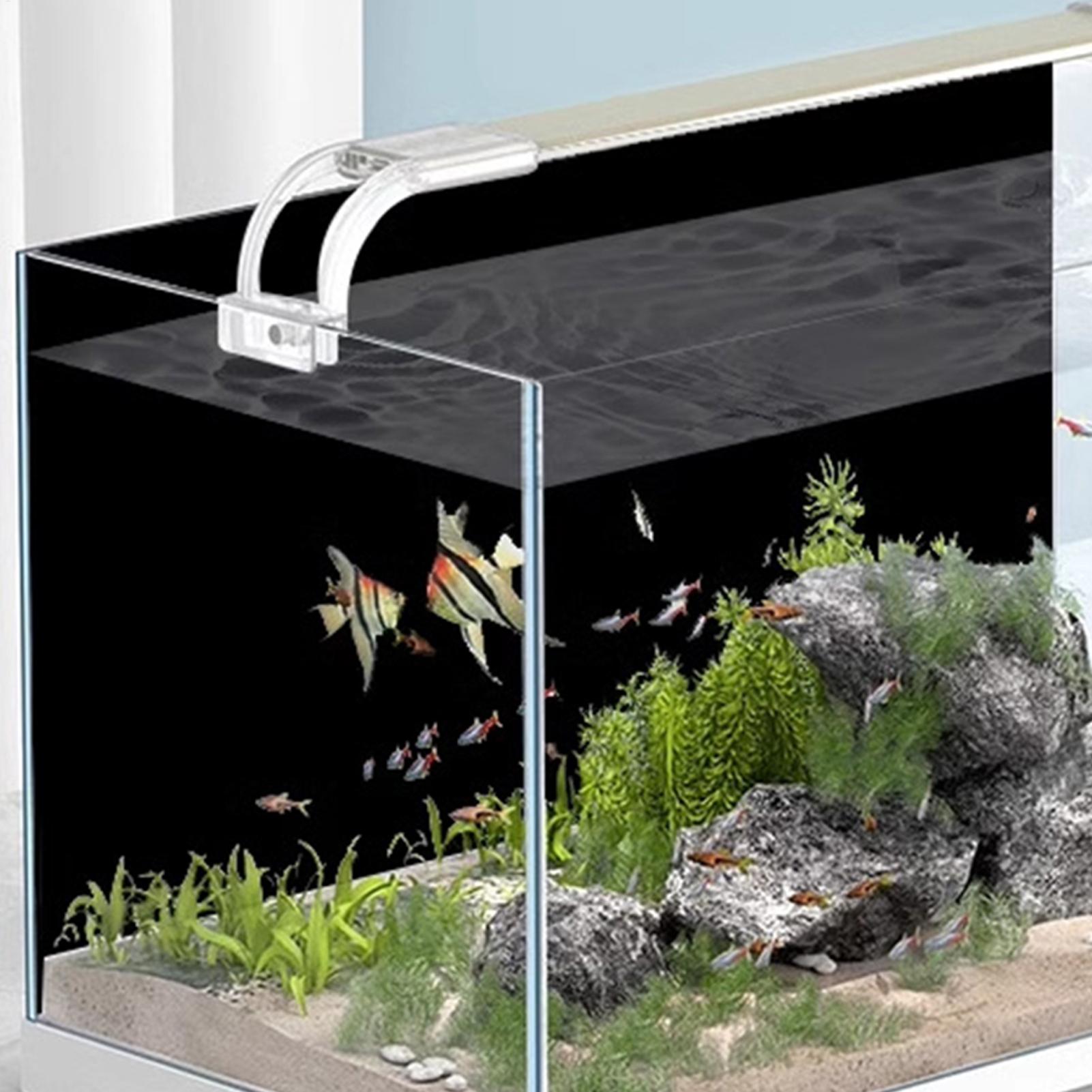 สติ๊กเกอร์ติดพื้นหลังตู้ปลา สี - Aquarium Fish Wallpaper บทวิจารณ์และราคา