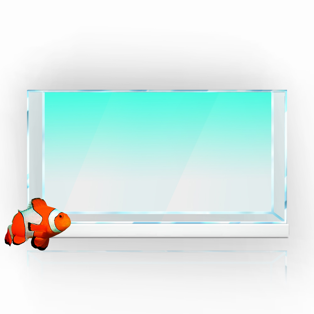 ตู้ปลาพื้นหลังสติกเกอร์สีขาวสี - Aquarium Fish Wallpaper บทวิจารณ์และราคา