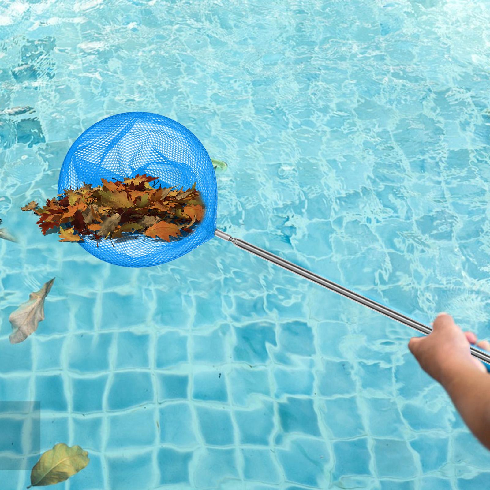 ตาข่ายทำความสะอาดสระว่ายน้ำแบบ - Cleaner Fish Aquarium บทวิจารณ์และราคา