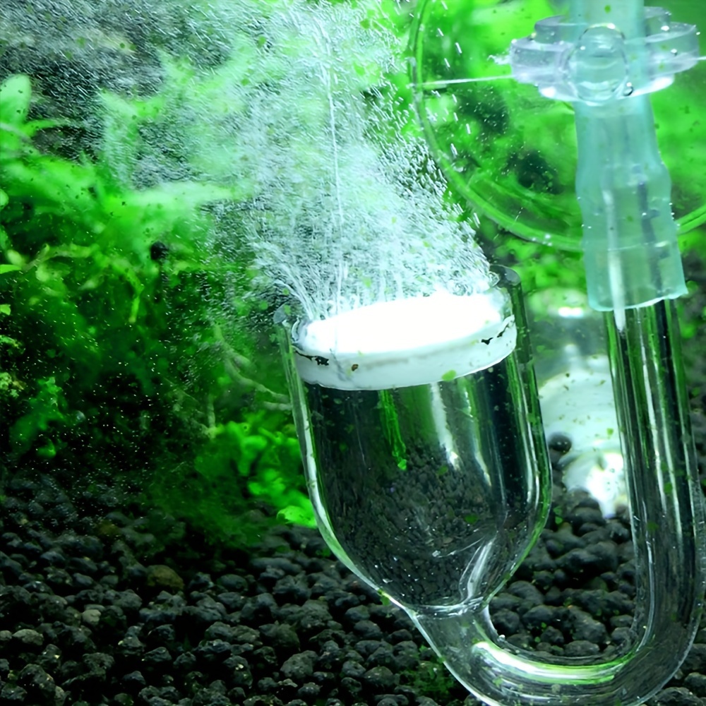 Aquarium Glass CO2 Atomizer Di - Co2 Diffuser Planted บทวิจารณ์และราคา