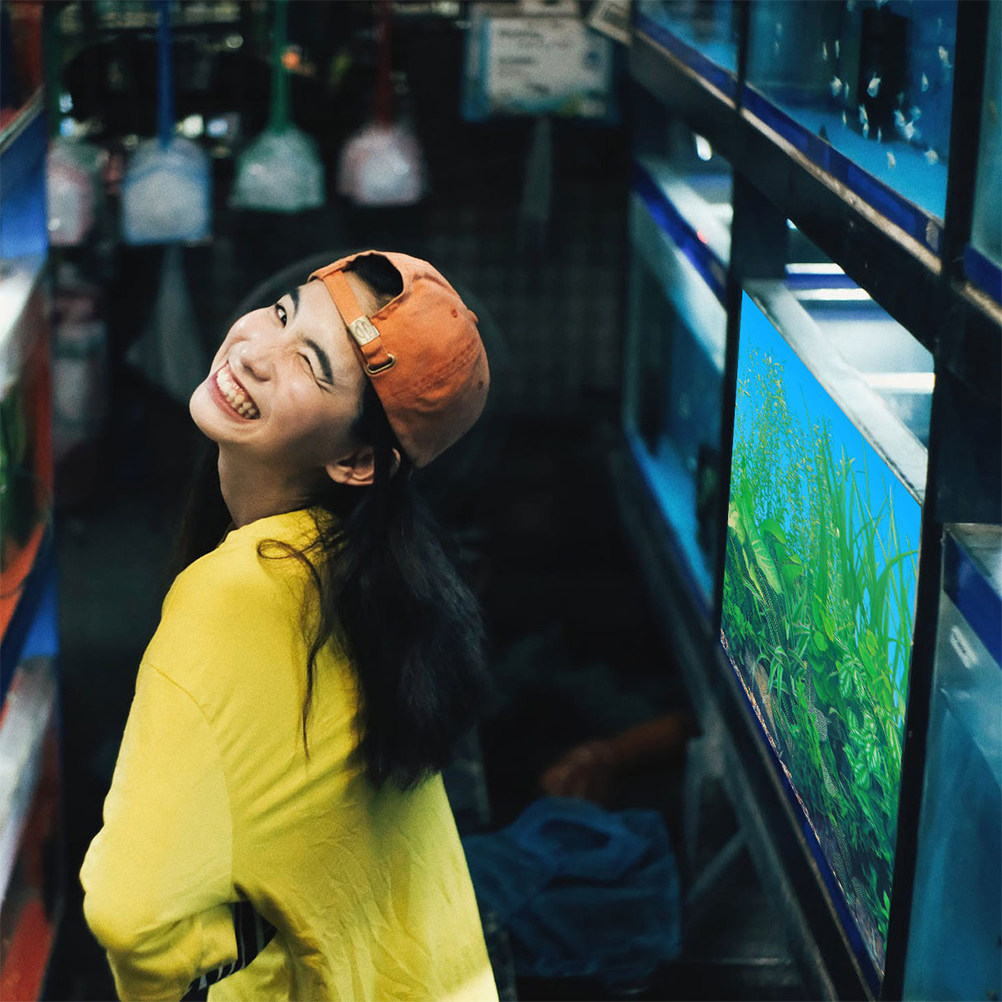 กระดาษพื้นหลังตู้ปลา หนา ไม่ซี - Aquarium Fish Wallpaper บทวิจารณ์และราคา