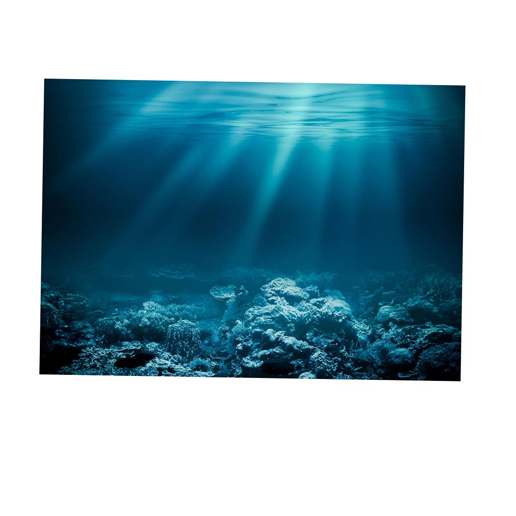 สติ๊กเกอร์ติดตู้ปลา PVC 3D HD  - Fish In Aquarium Picture บทวิจารณ์และราคา