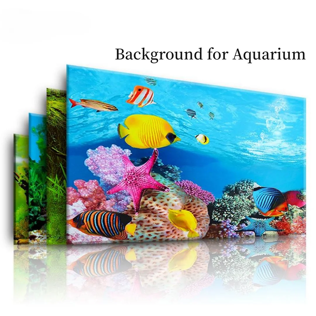 พื้นหลัง Aquarium 3D สติกเกอร์ - Aquarium Fish For Sale Online บทวิจารณ์และราคา