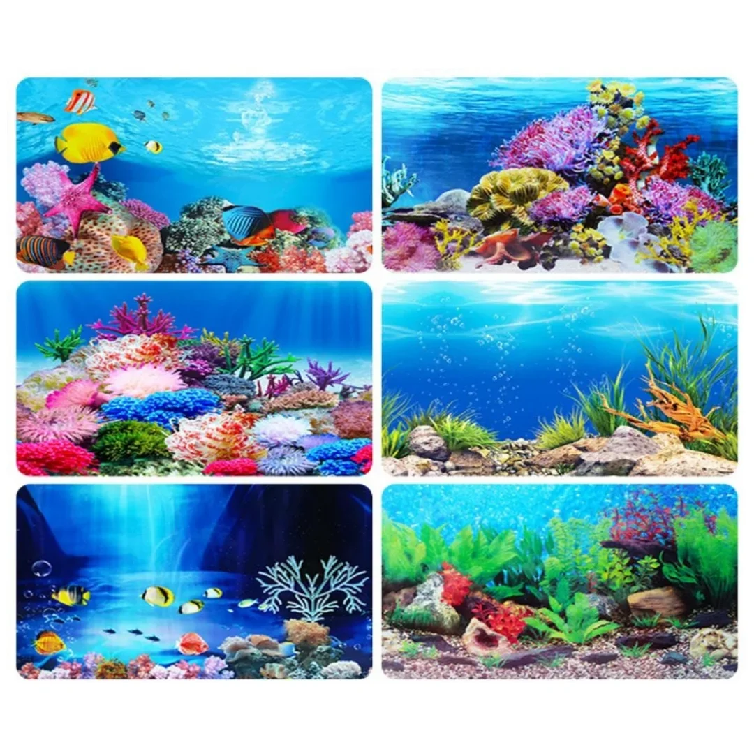 พื้นหลัง Aquarium 3D สติกเกอร์ - Aquarium Fish For Sale Online บทวิจารณ์และราคา