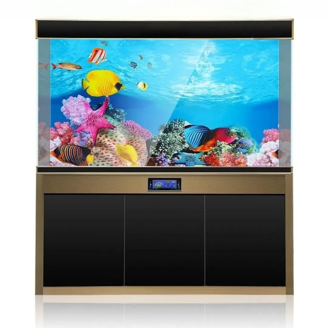 พื้นหลัง Aquarium 3D สติกเกอร์ - Aquarium Fish For Sale Online บทวิจารณ์และราคา