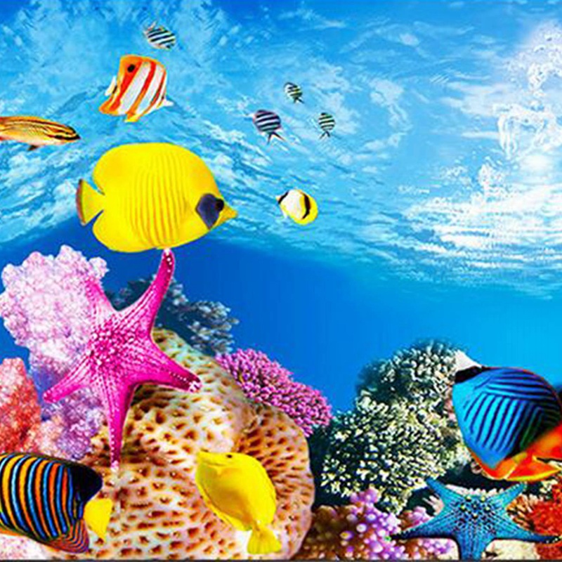กระดาษตกแต่งตู้ปลา BAAU ภาพ HD - Fish In Aquarium Picture บทวิจารณ์และราคา