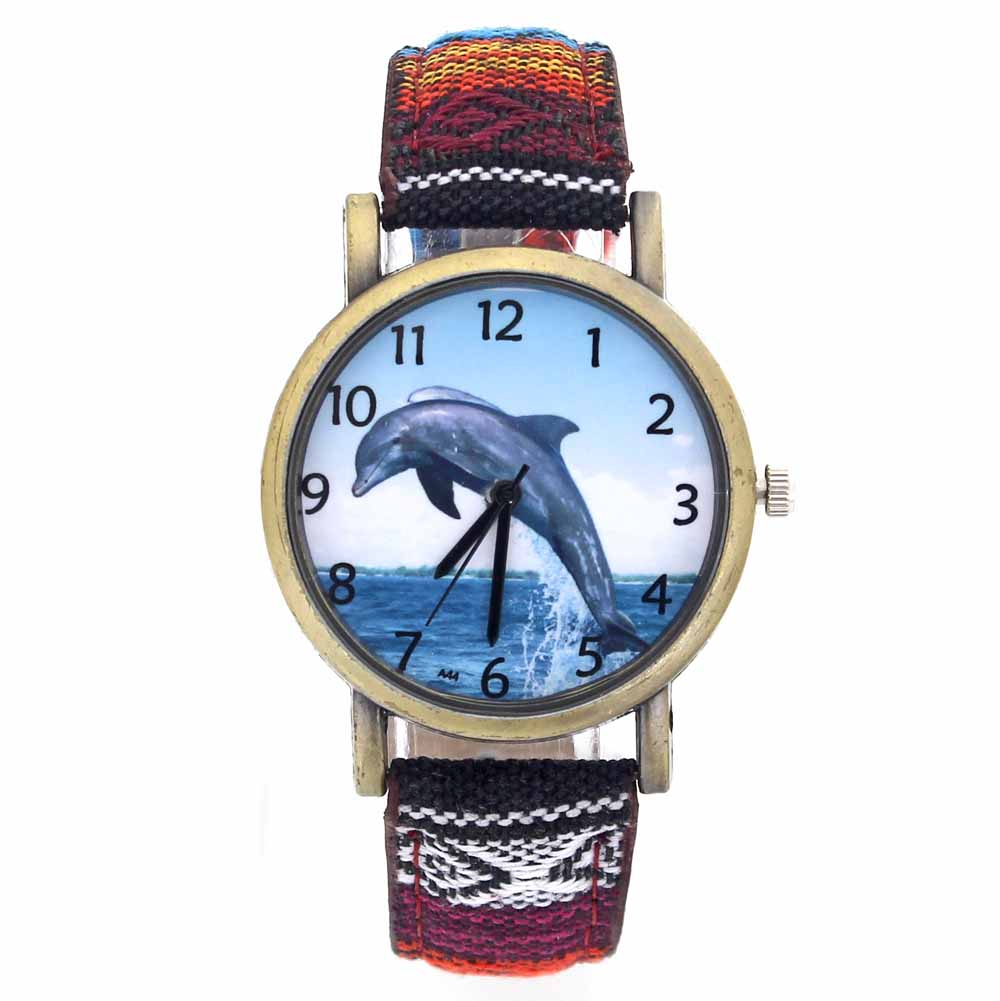 รูปแบบDolphin Ocean Aquariumปล - Aquarium Fish Dolphin บทวิจารณ์และราคา