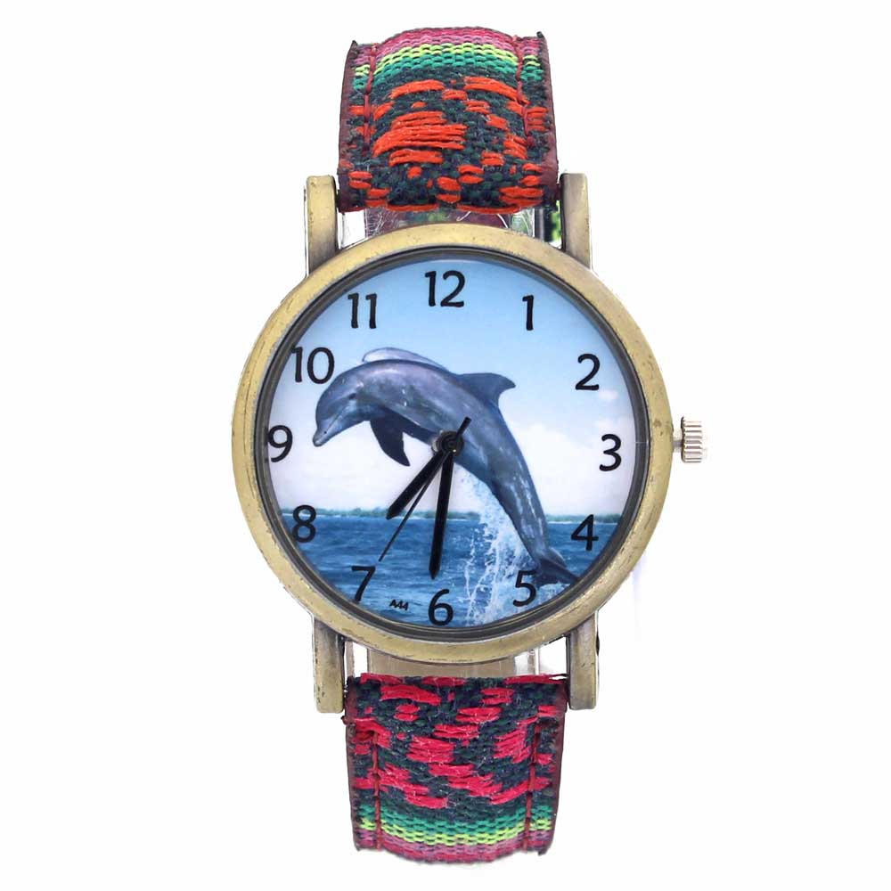 รูปแบบDolphin Ocean Aquariumปล - Aquarium Fish Dolphin บทวิจารณ์และราคา