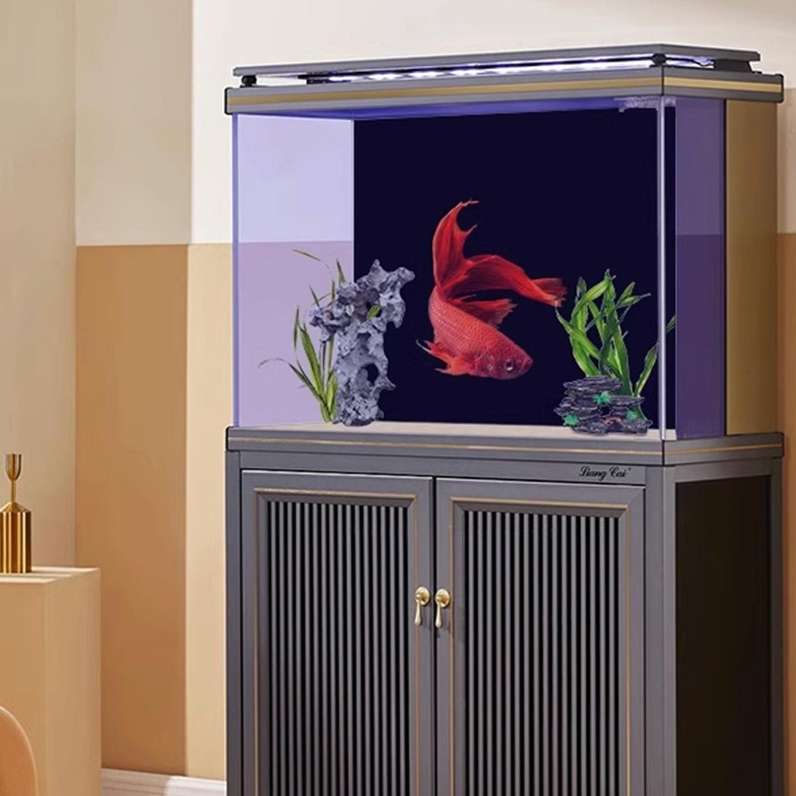 ภาพพื้นหลังตู้ปลาสีดำ วอลเปเปอ - Fish In Aquarium Picture บทวิจารณ์และราคา
