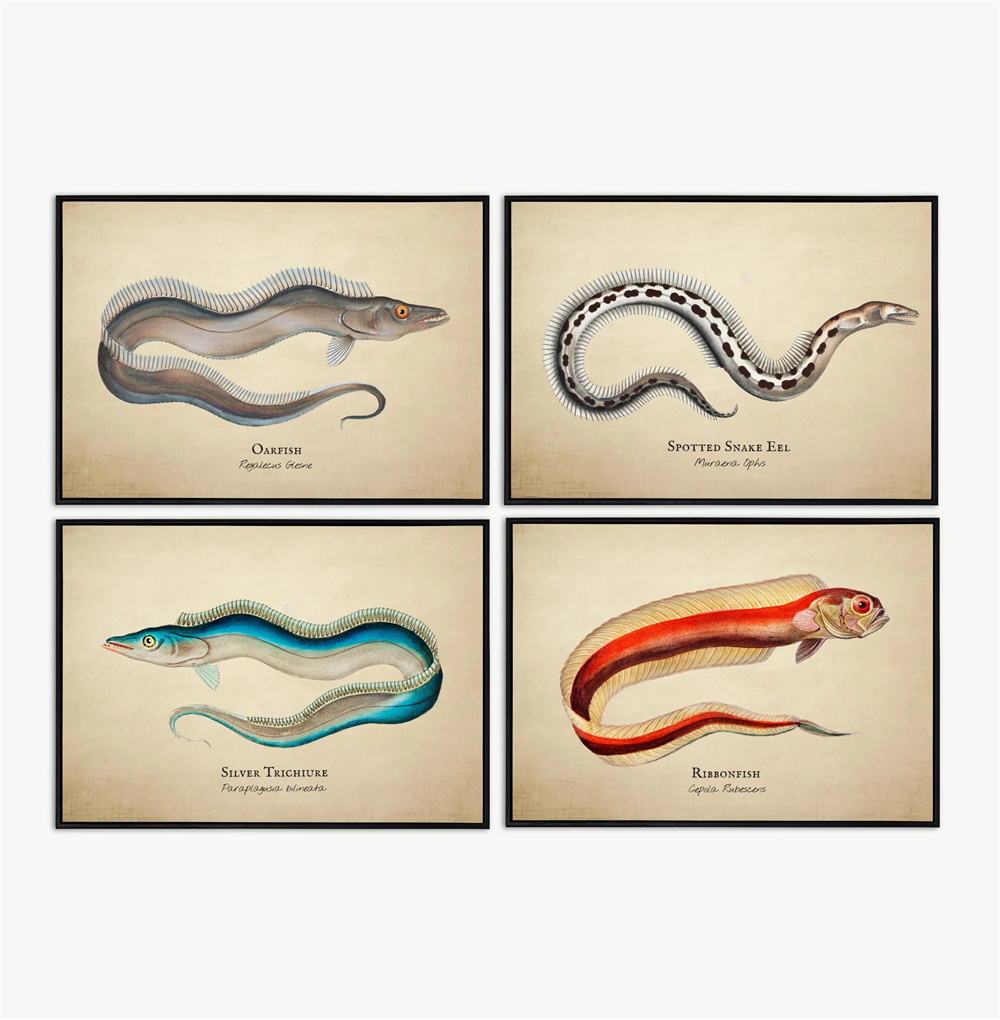 Clay Aquarium ตกแต่งปลากุ้งเล่ - Aquarium Fish For Sale Online บทวิจารณ์และราคา