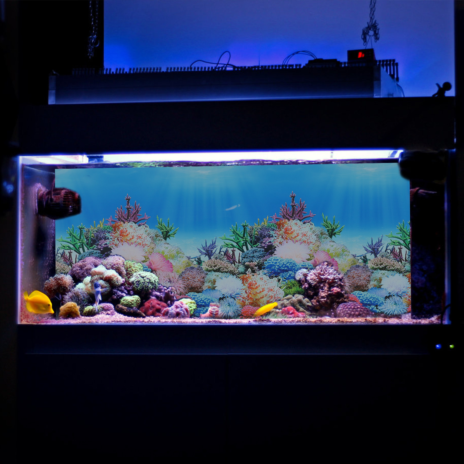 กระดาษตกแต่งพื้นหลังตู้ปลา DIY - Fish In Aquarium Picture บทวิจารณ์และราคา
