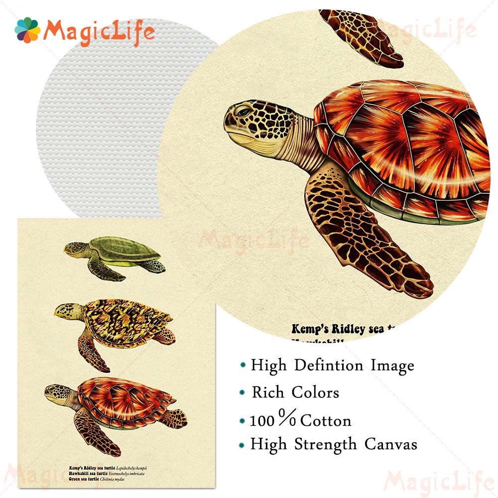 โปสเตอร์ปลาฉลามเต่าทะเลวินเทจร - Fish In Aquarium Picture บทวิจารณ์และราคา