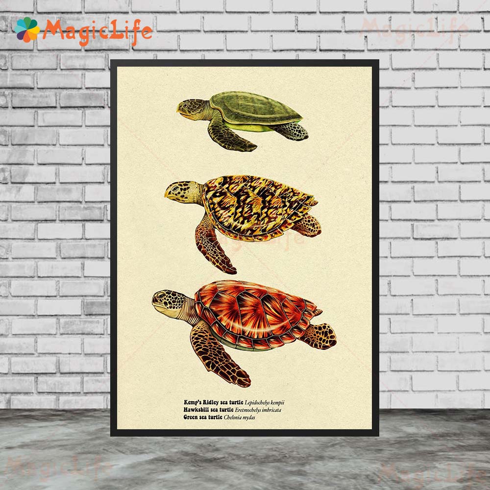 โปสเตอร์ปลาฉลามเต่าทะเลวินเทจร - Fish In Aquarium Picture บทวิจารณ์และราคา