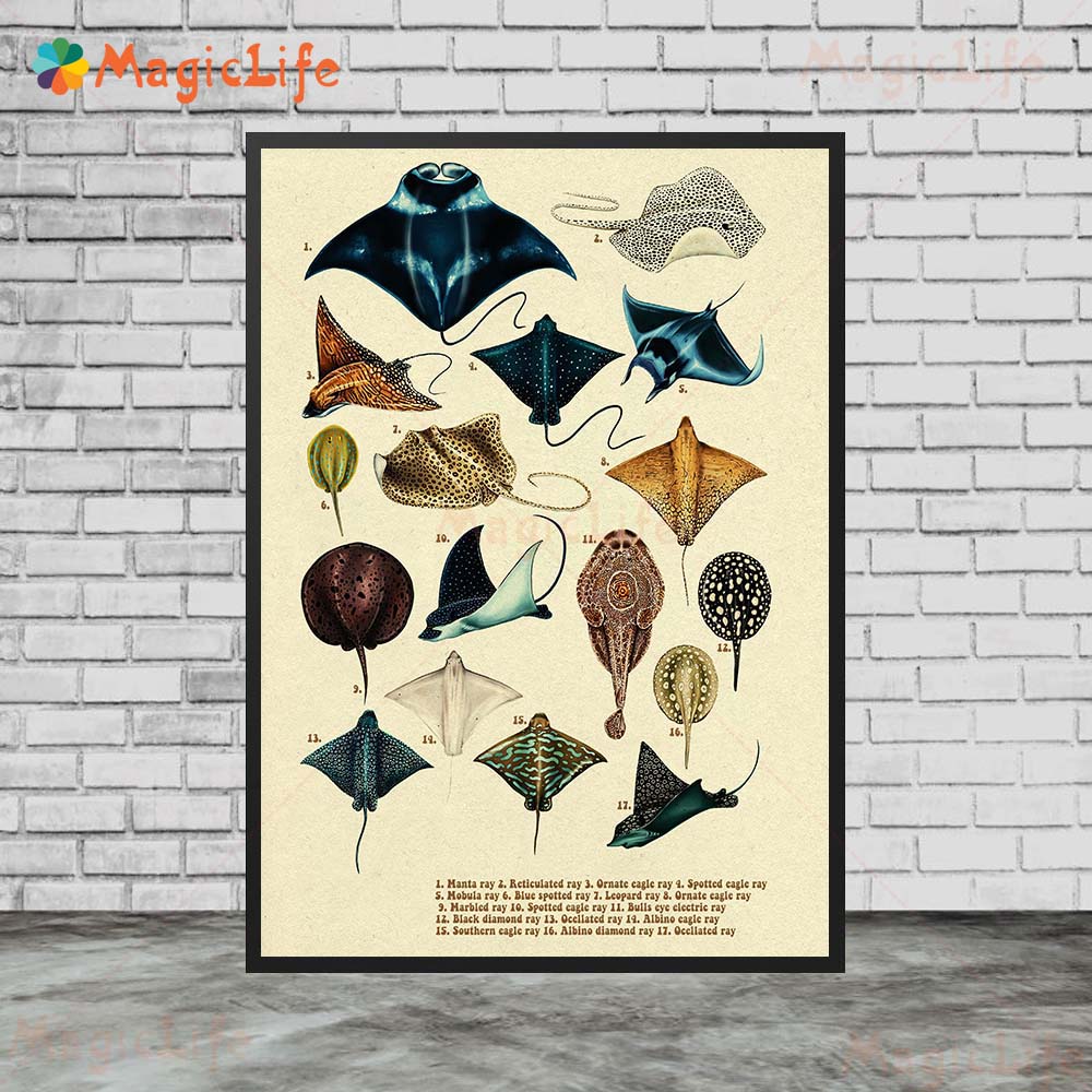 โปสเตอร์ปลาฉลามเต่าทะเลวินเทจร - Fish In Aquarium Picture บทวิจารณ์และราคา
