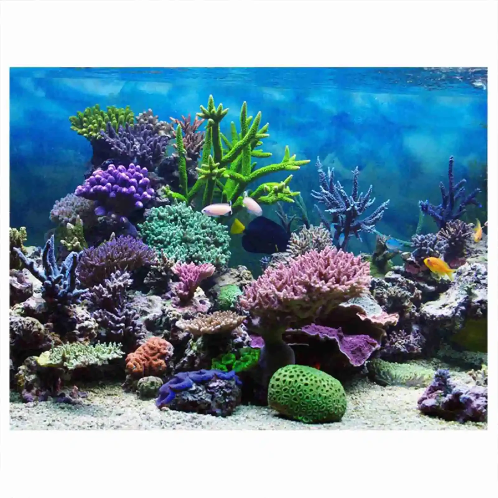 โปสเตอร์แนวนอนลายพิพิธภัณฑ์สัต - Aquarium Fish Wallpaper บทวิจารณ์และราคา