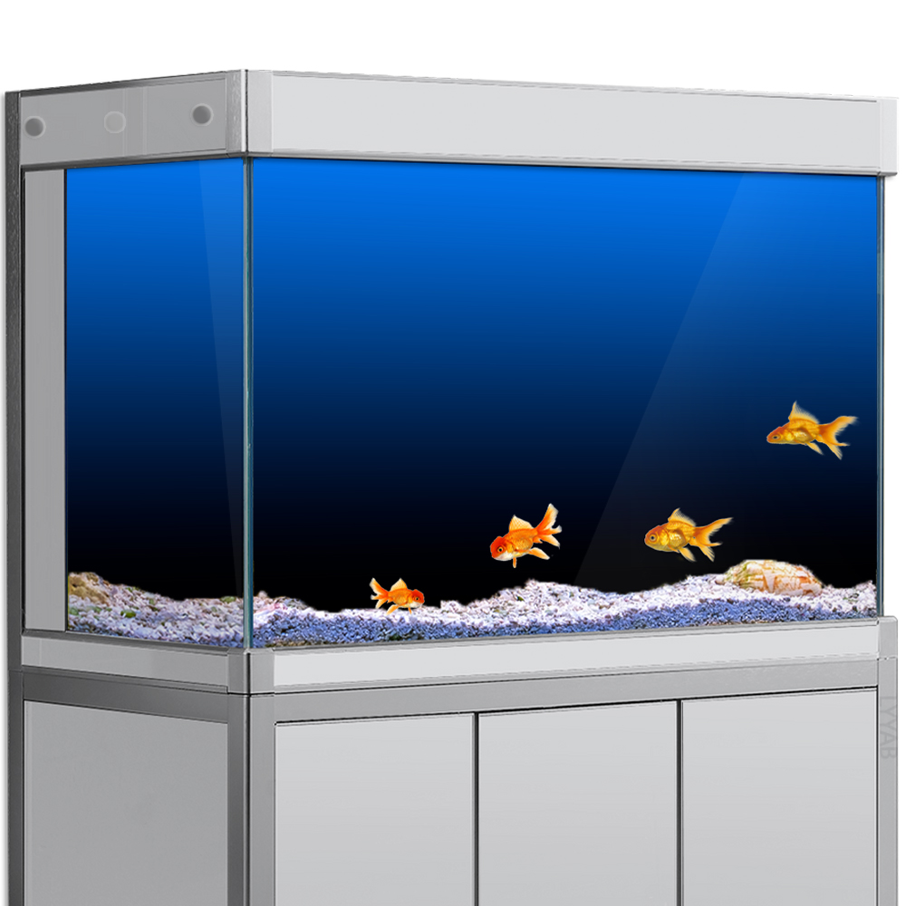 ตู้ปลาพื้นหลังสติกเกอร์สีดําสี - Aquarium Fish Wallpaper บทวิจารณ์และราคา