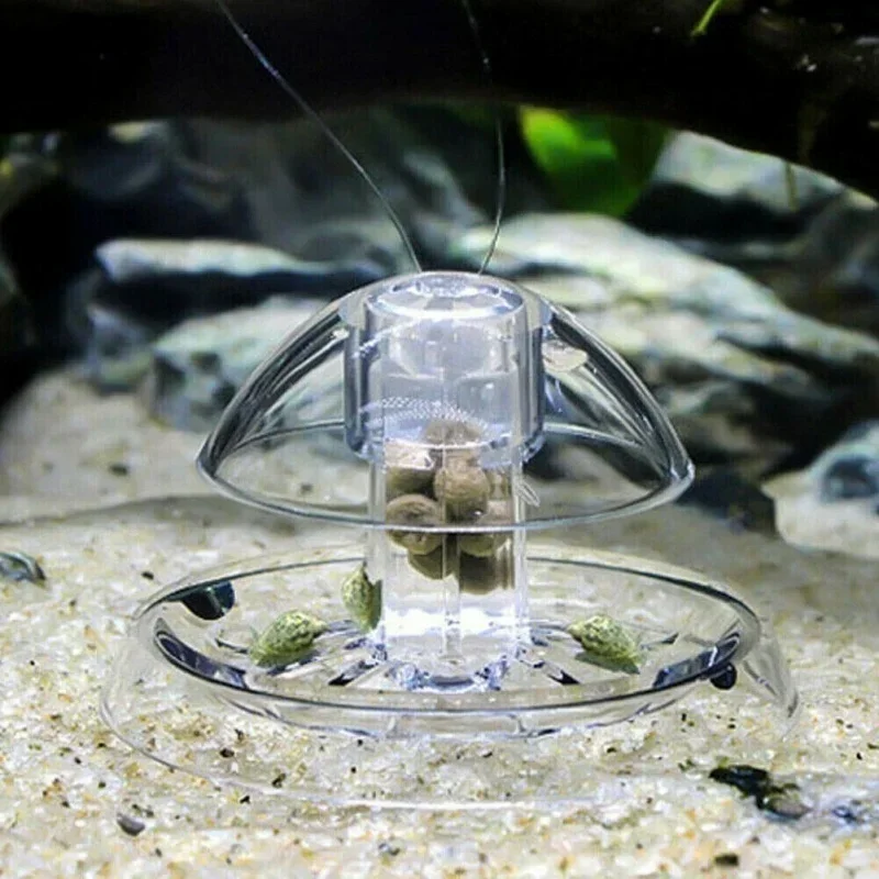 กับดักหอยทากสำหรับตู้ปลา อุปกร - Cleaner Fish Aquarium บทวิจารณ์และราคา