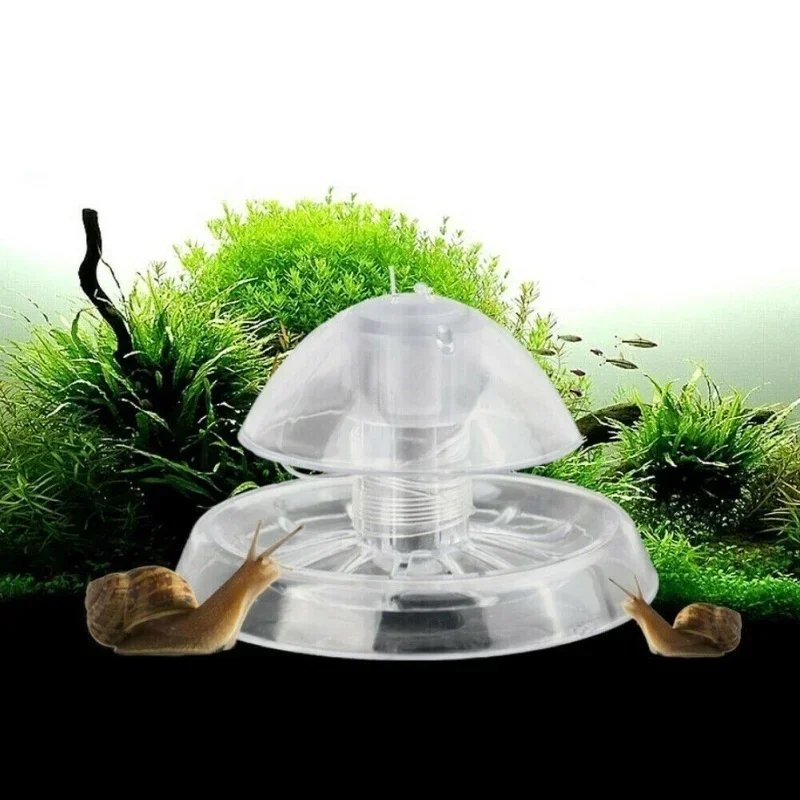 กับดักหอยทากสำหรับตู้ปลา อุปกร - Cleaner Fish Aquarium บทวิจารณ์และราคา