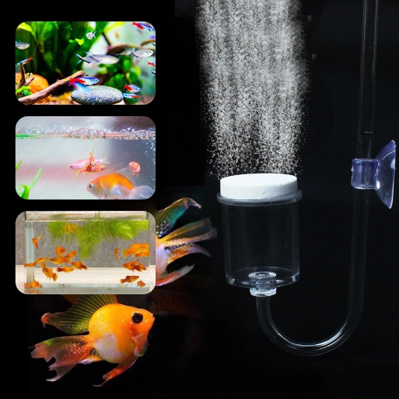 DIY ชุดกระจาย CO2 4ชิ้นสำหรับต - Co2 Diffuser Planted บทวิจารณ์และราคา