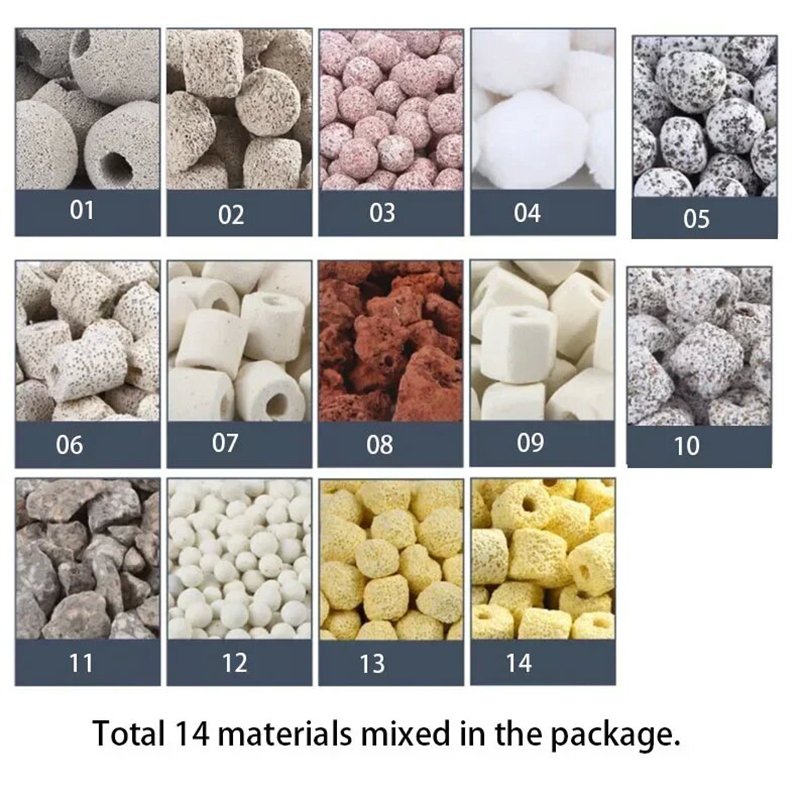 250g 500g 1000g 14 ประเภท Aqua - Aquarium Fish For Sale Online บทวิจารณ์และราคา