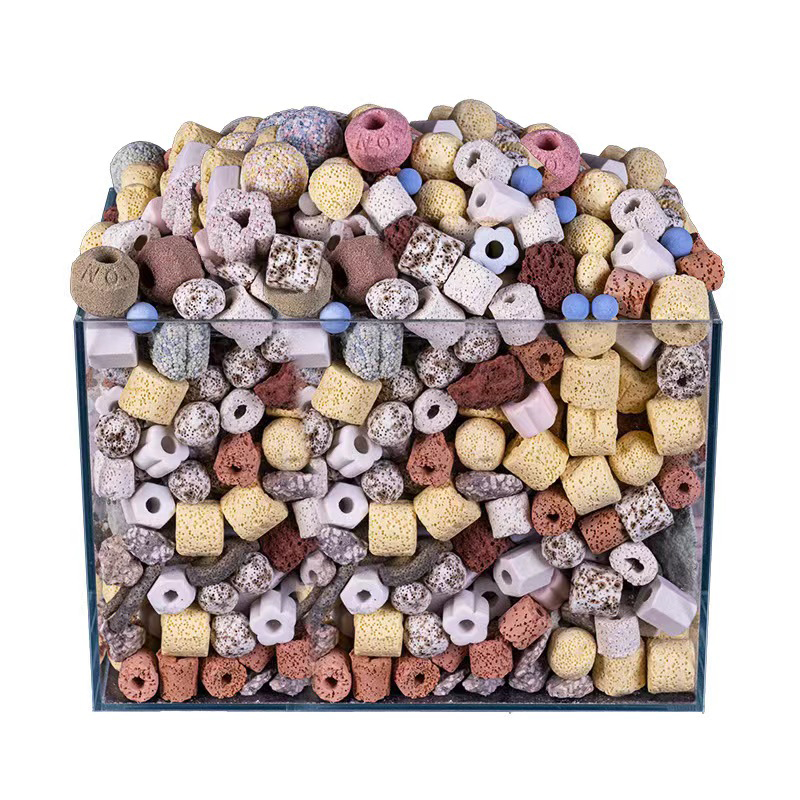 250g 500g 1000g 14 ประเภท Aqua - Aquarium Fish For Sale Online บทวิจารณ์และราคา