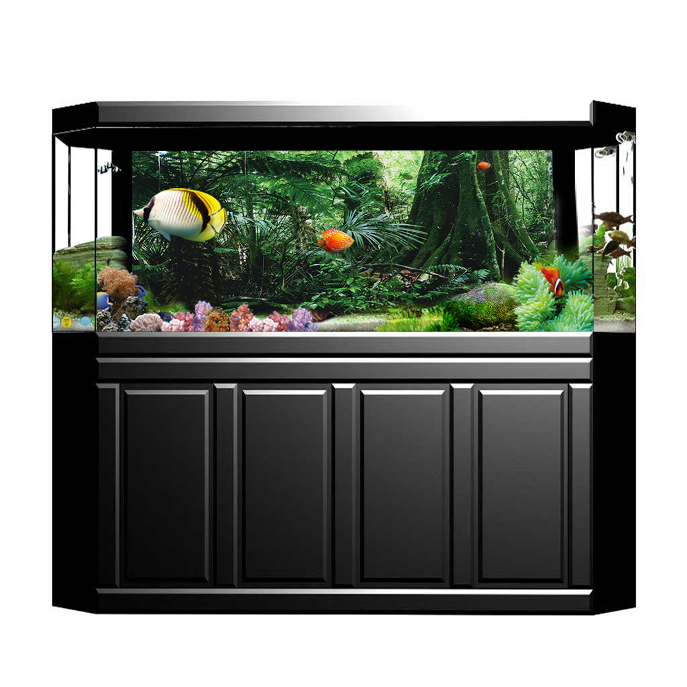 กล่องพีวีซีใส่สัตว์เลื้อยคลานโ - Fish In Aquarium Picture บทวิจารณ์และราคา