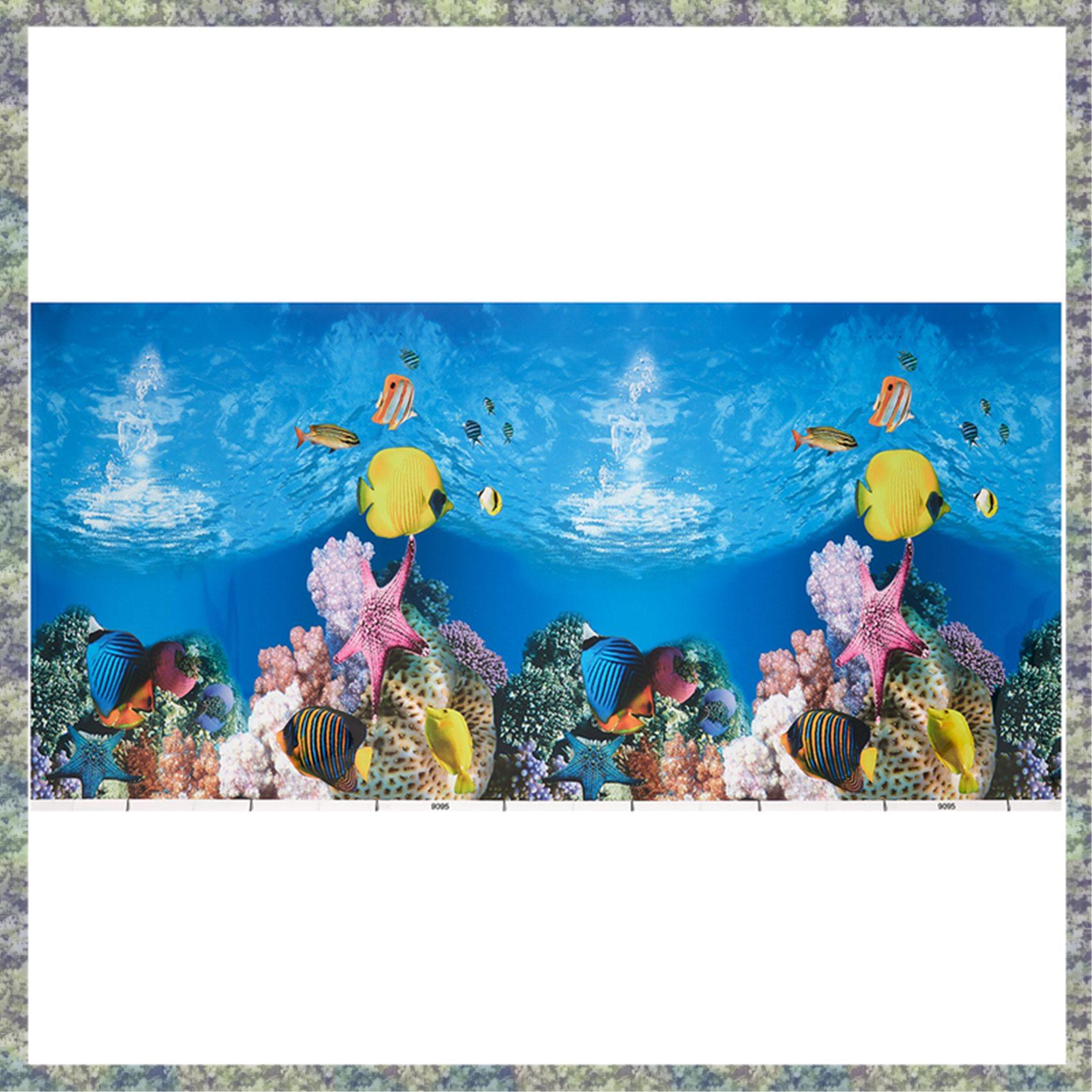 WON Aquarium พื้นหลังกระดาษ HD - Fish In Aquarium Picture บทวิจารณ์และราคา