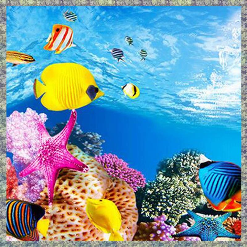 WON Aquarium พื้นหลังกระดาษ HD - Fish In Aquarium Picture บทวิจารณ์และราคา