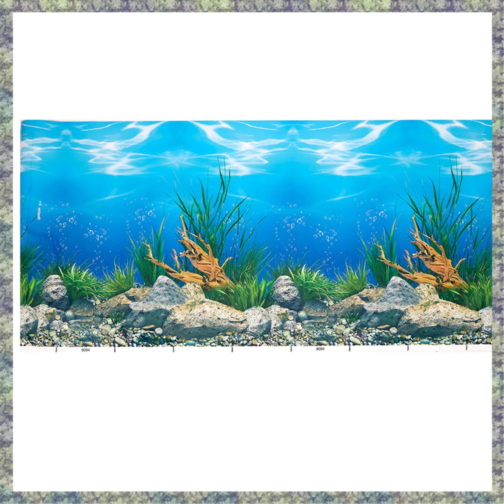 WON Aquarium พื้นหลังกระดาษ HD - Fish In Aquarium Picture บทวิจารณ์และราคา